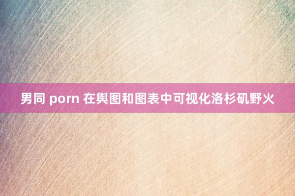 男同 porn 在舆图和图表中可视化洛杉矶野火