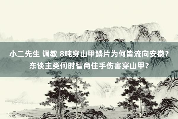 小二先生 调教 8吨穿山甲鳞片为何皆流向安徽？东谈主类何时智商住手伤害穿山甲？